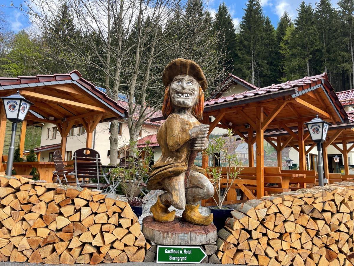 Hotel & Gasthaus Sterngrund Zella-Mehlis Dış mekan fotoğraf