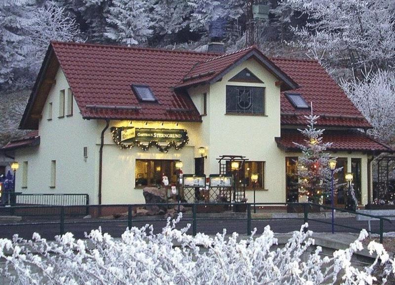 Hotel & Gasthaus Sterngrund Zella-Mehlis Dış mekan fotoğraf